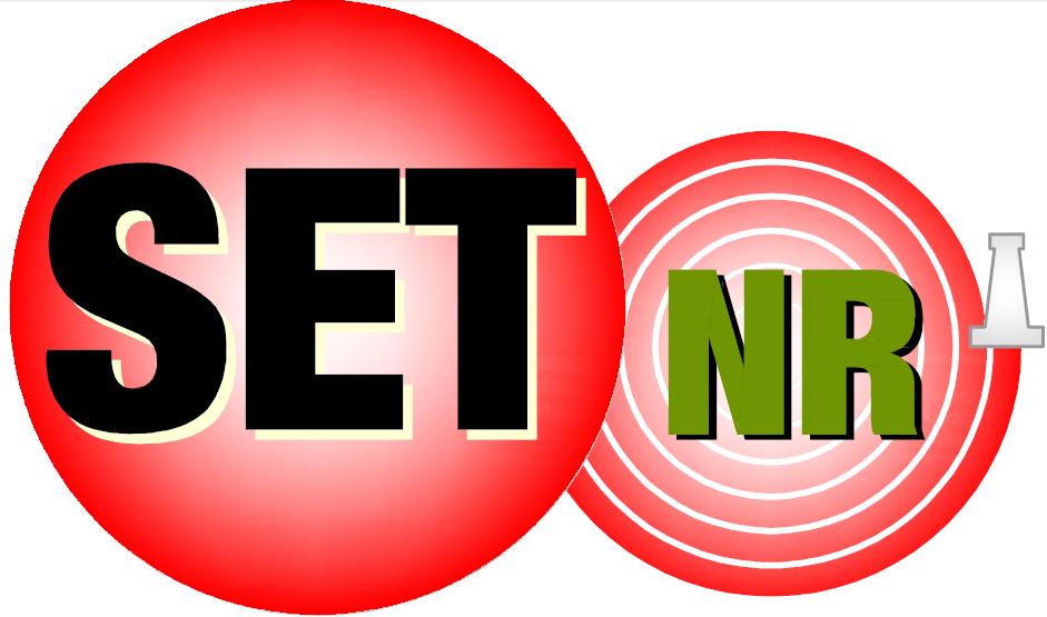 Set Ner – Segurança, Educação e Treinamento - Foto 2