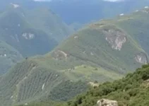 vagas de emprego e estágio