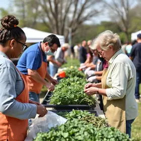 interrupção do abastecimento de água em Minas Gerais